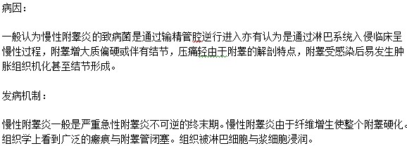 附睾炎的发病原因及发病机制