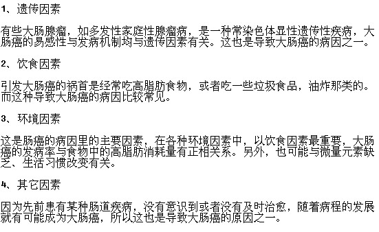 诱发肠癌有哪些常见病因？