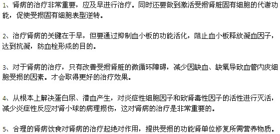 肾病应遵循的治疗原则