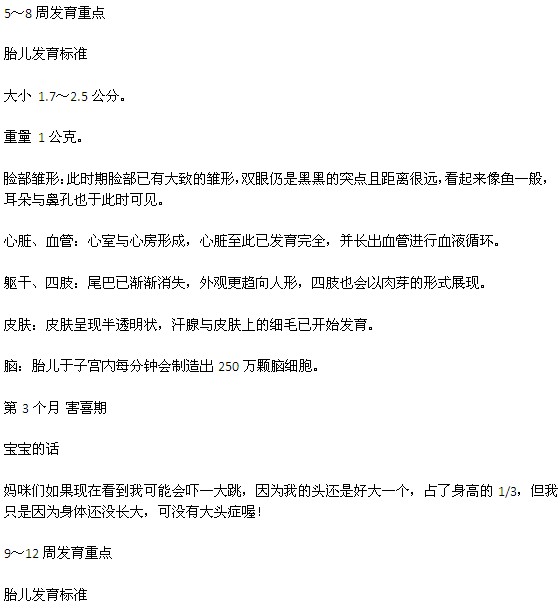 宝宝在妈妈肚子里是怎样发育的、