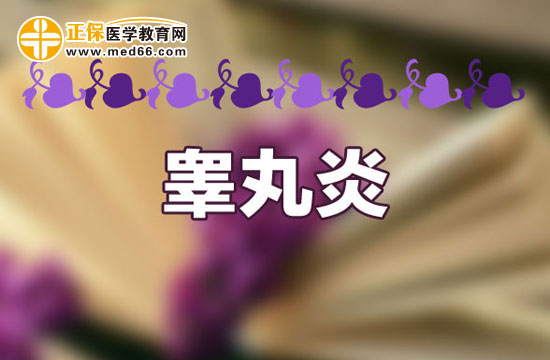 睾丸炎发作的主要症状