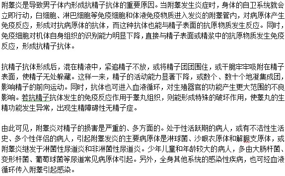 附睾炎对男性精子的影响是什么