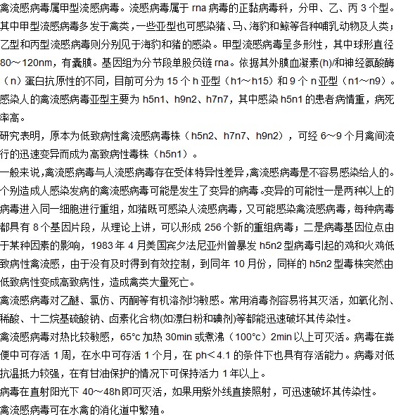 这些与禽流感病毒的相关知识你知道吗？