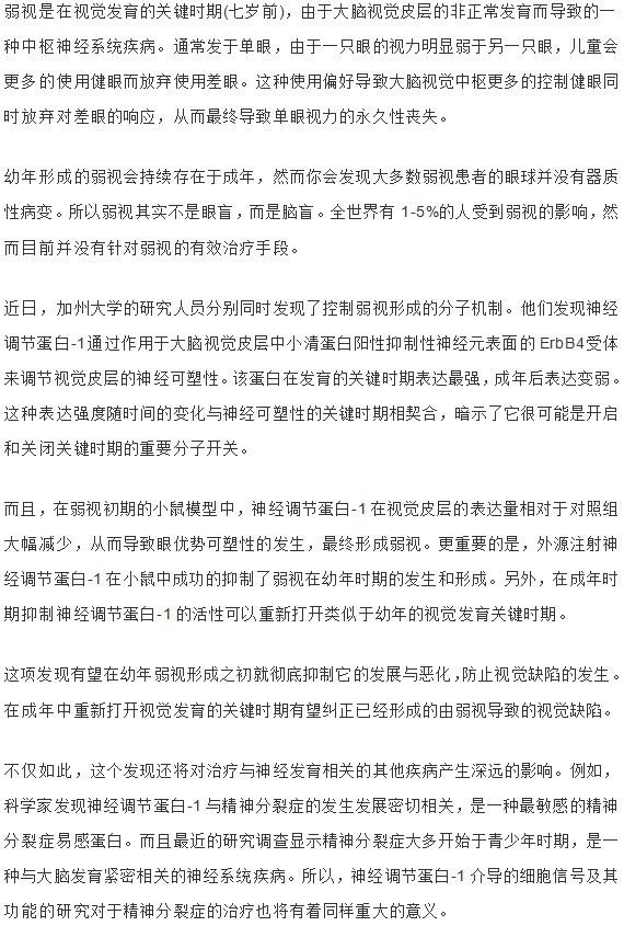 新发现弱视形成的分子机制