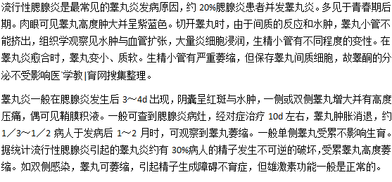 急性腮腺炎性睾丸炎介绍