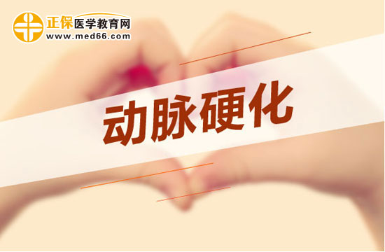 动脉粥样硬化病因