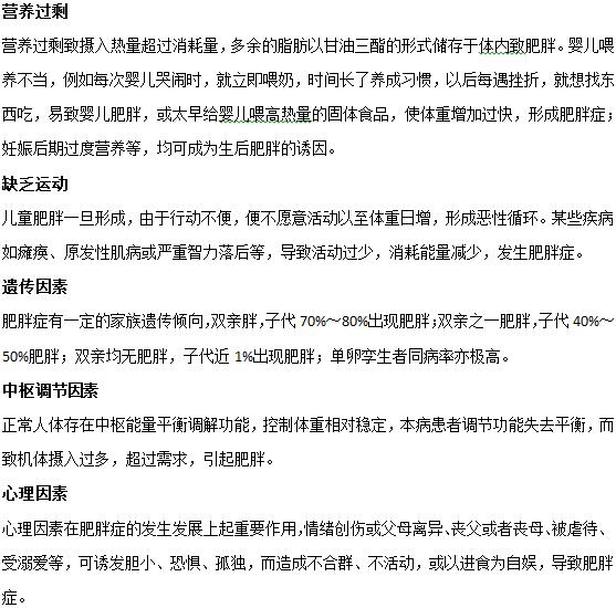 导致小儿肥胖症的5大主要因素