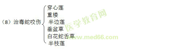 边走边学中药二-清热凉血药