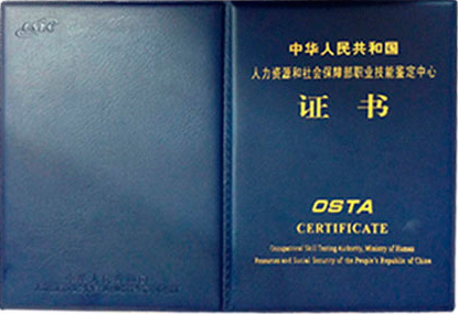 重庆康复理疗师证书样本