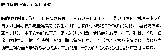 肥胖症的身体四大系统危害