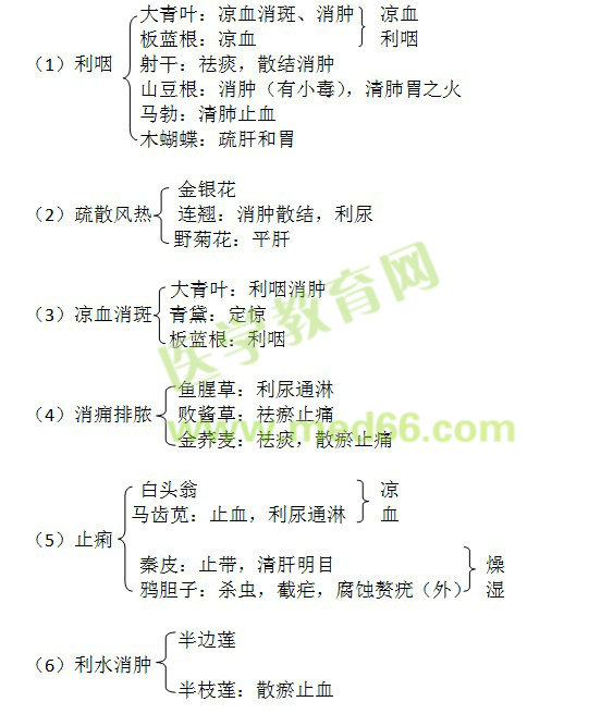 边走边学中药二-清虚热药