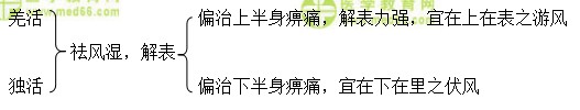医学教育网初级中药士:《答疑周刊》2018年第20期