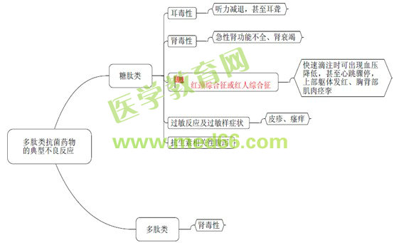 执业药师知识点