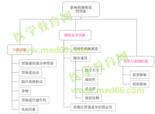 药物的肠道吸收