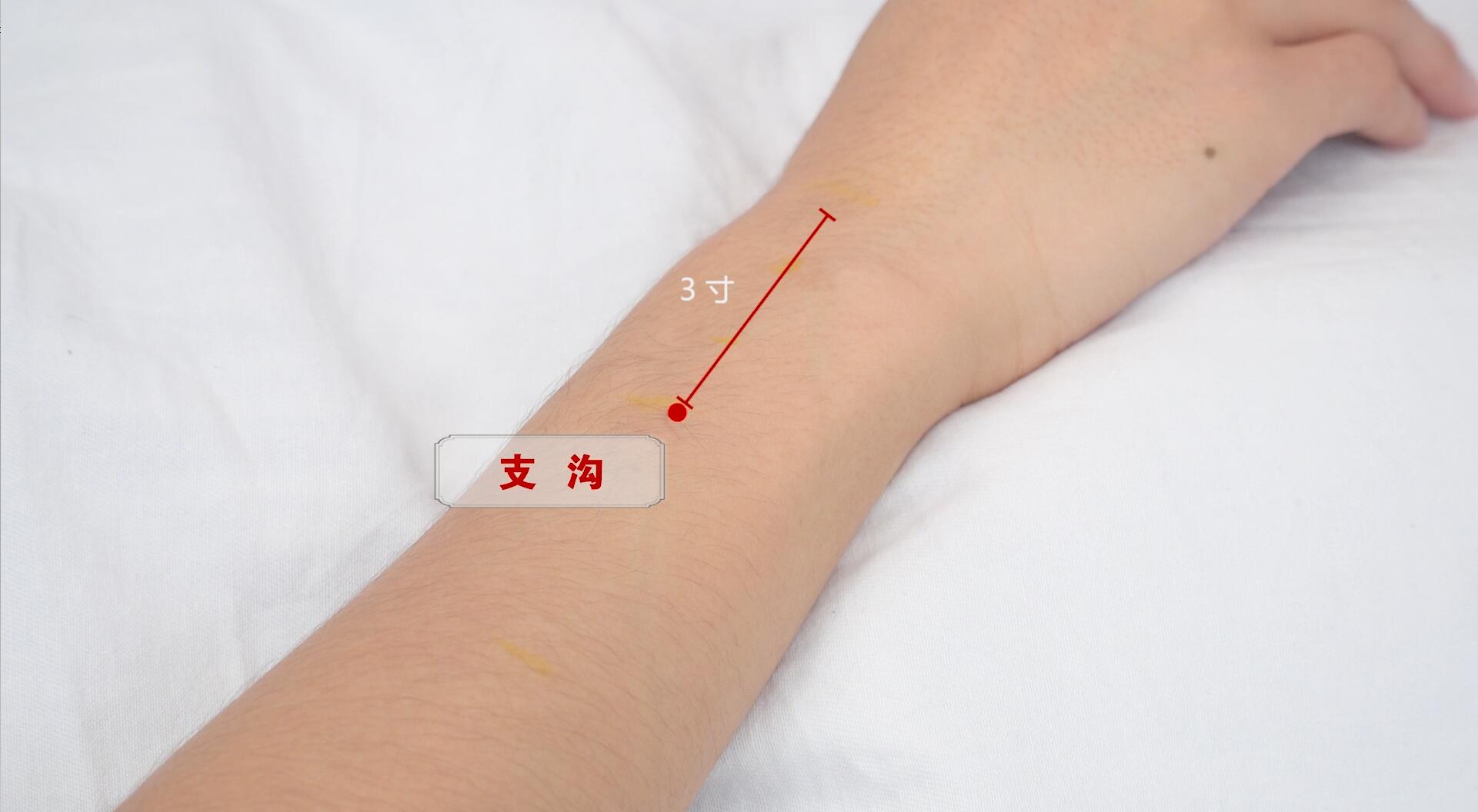 中医医师资格考试实践技能规范化操作视频上线