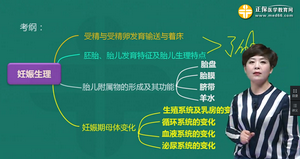 Ů����ֳϵͳ