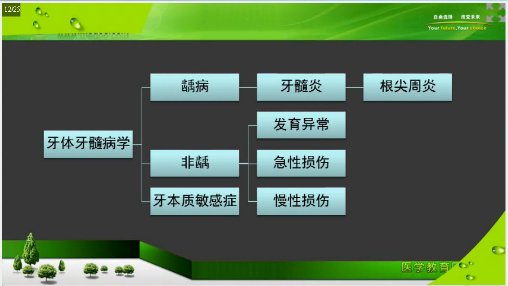 口腔执业助理医师笔试考前2个月重点复习项目及**攻略
