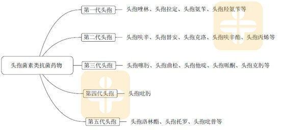 头孢菌素类药物分类