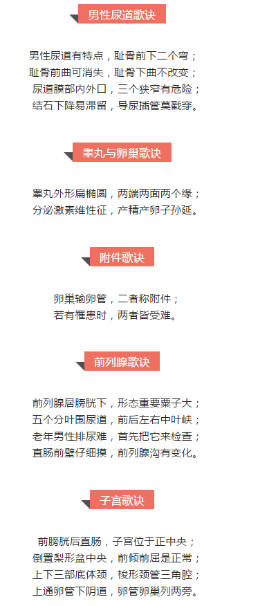 生殖系统速记口诀