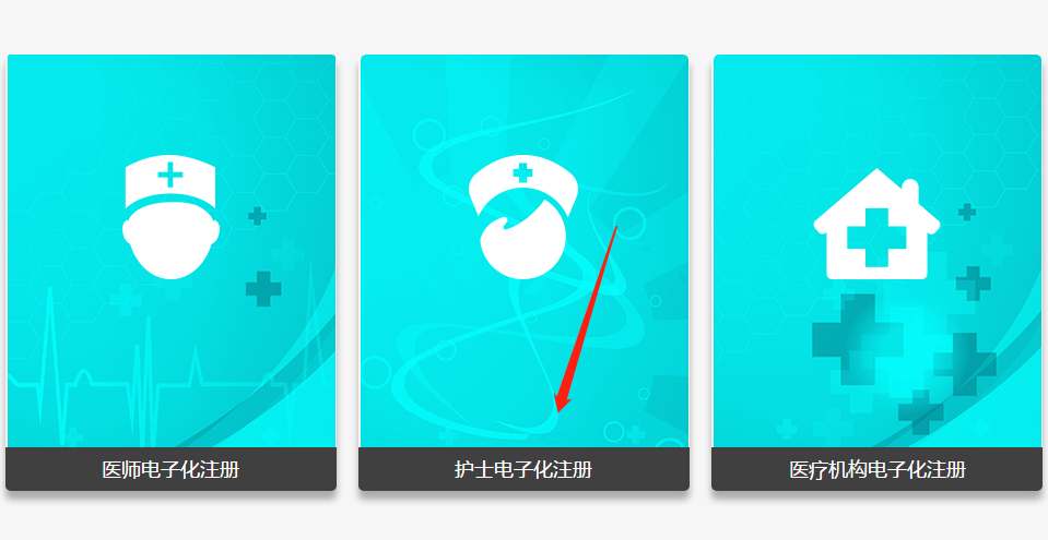 护士电子化注册个人端