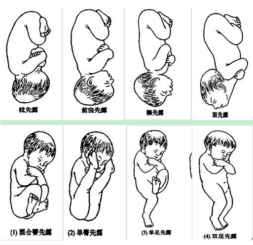 医学教育网中级主管护师:《答疑周刊》2019年第15期