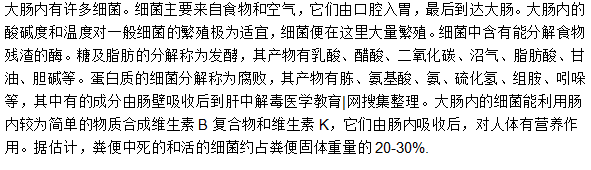 大肠内细菌活动的规律