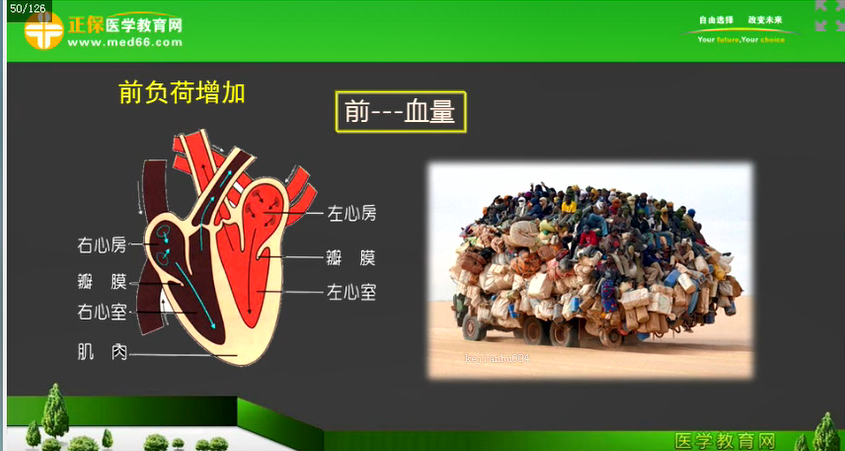 心脏的前负荷和后负荷