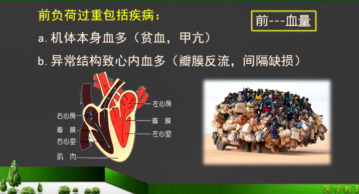 心脏的前负荷和后负荷