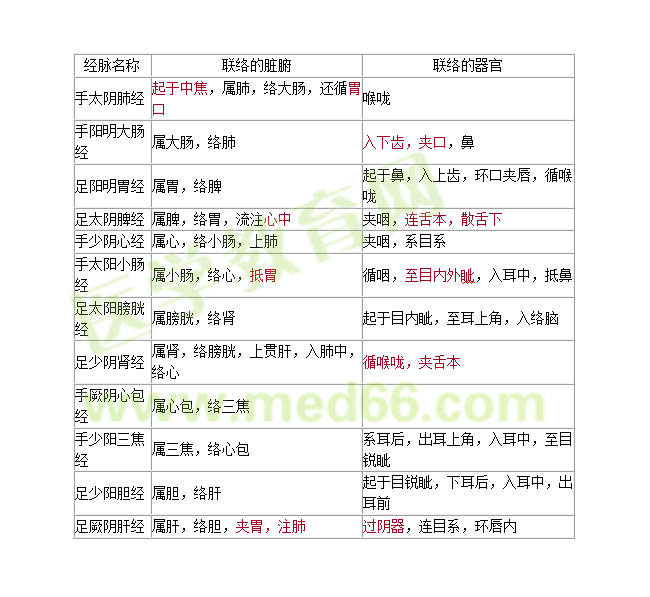 十二经脉与脏腑器官的联络