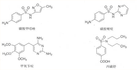 医学教育网整理