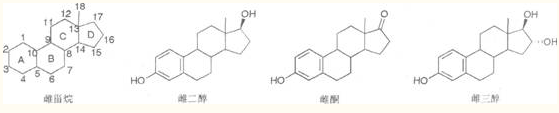 医学教育网整理