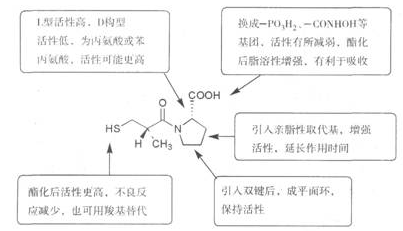 ace抑制剂构造关系