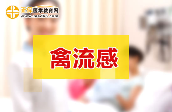 禽流感的病理变化是什么?