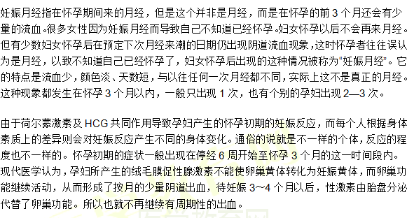 妊娠月经