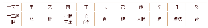 天干配脏腑经络