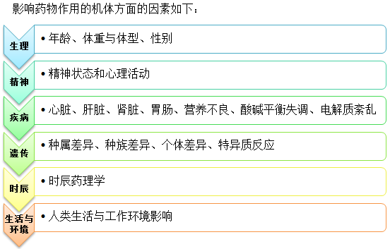 影响药物作用机体方面的因素--执业药师辅导精华