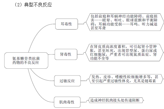 氨基糖苷类抗菌药物作用机制及特点
