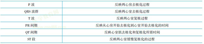 正常心电图波形及其意义