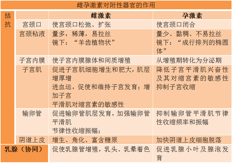 卵巢周期性变化考点