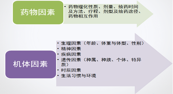 影响药物作用的因素