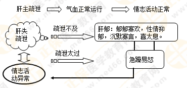 《中药学综合知识与技能》的藏象