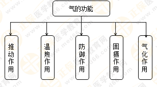专业师资带你学（八）：执业药师《中药综》生命活动的基本物质！善用图解！