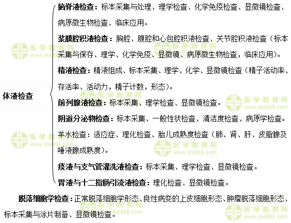 临床检验基础重点学习内容介绍