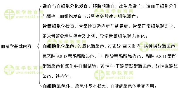 主管检验师：《答疑周刊》2019年第37期