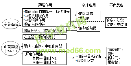 中西医结合助理医师精选课