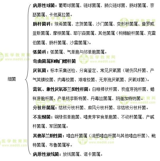 主管检验师：《答疑周刊》2019年第40期