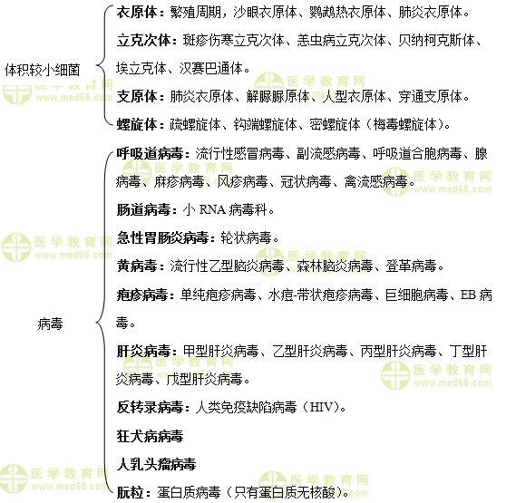 微生物检验重点学习内容介绍