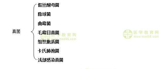 微生物检验重点内容