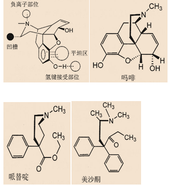 医学教育网执业西药师：《答疑周刊》2019年第33期