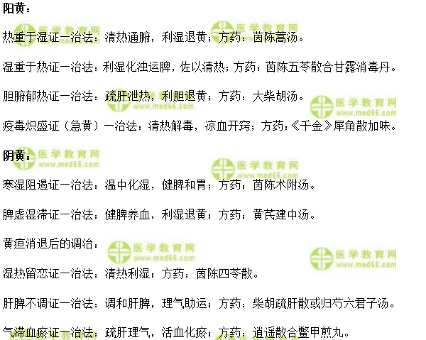 实践技能考试模拟题仿真练习黄疸